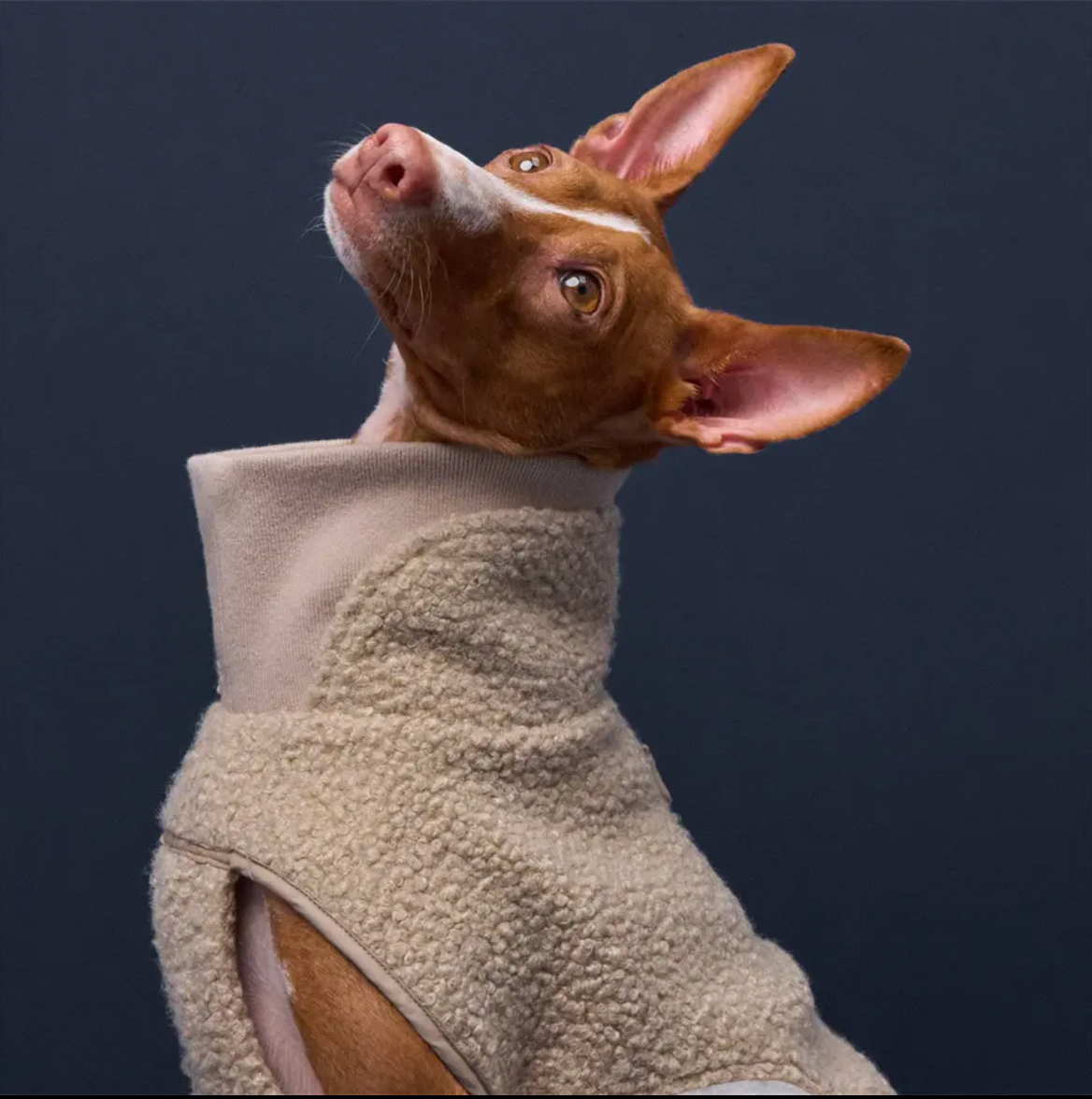 Luxe Pets