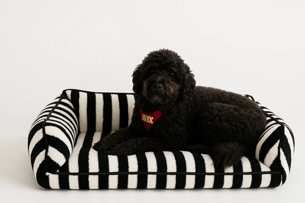 Orthopedic Luxury Pet Dog Cat Bed Sofa – Plush Pet Sofa - Vault No9